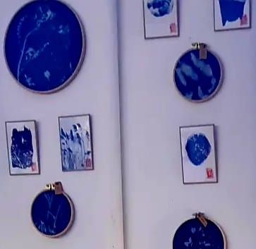 cyanotypes & co